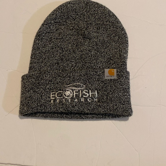 Carhartt Other - Eco fish research branded carhartt toque NWOT